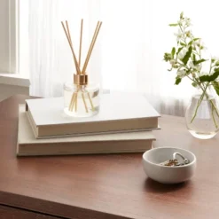 4oz Boxed Reed Diffuser Driftwood & Sea Salt - Opalhouseā¢